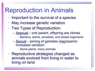 Reproduction in Animals
 • Important to the survival of a species
 • May increase genetic variation
 • Two Types of Reproduction:
   – Asexual – one parent, offspring are clones
      • Bacteria, plants, amoebas, and simple organisms
   – Sexual – joining of gametes (egg/sperm)
     increases variation
      • Some plants, many animals
 • Reproductive strategies changed as
   animals evolved from living in water to
   living on land
 