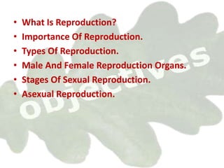 Reproduction in animals