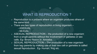 Production Reproduction REPRODUCTION IN ANIMALS.pptx