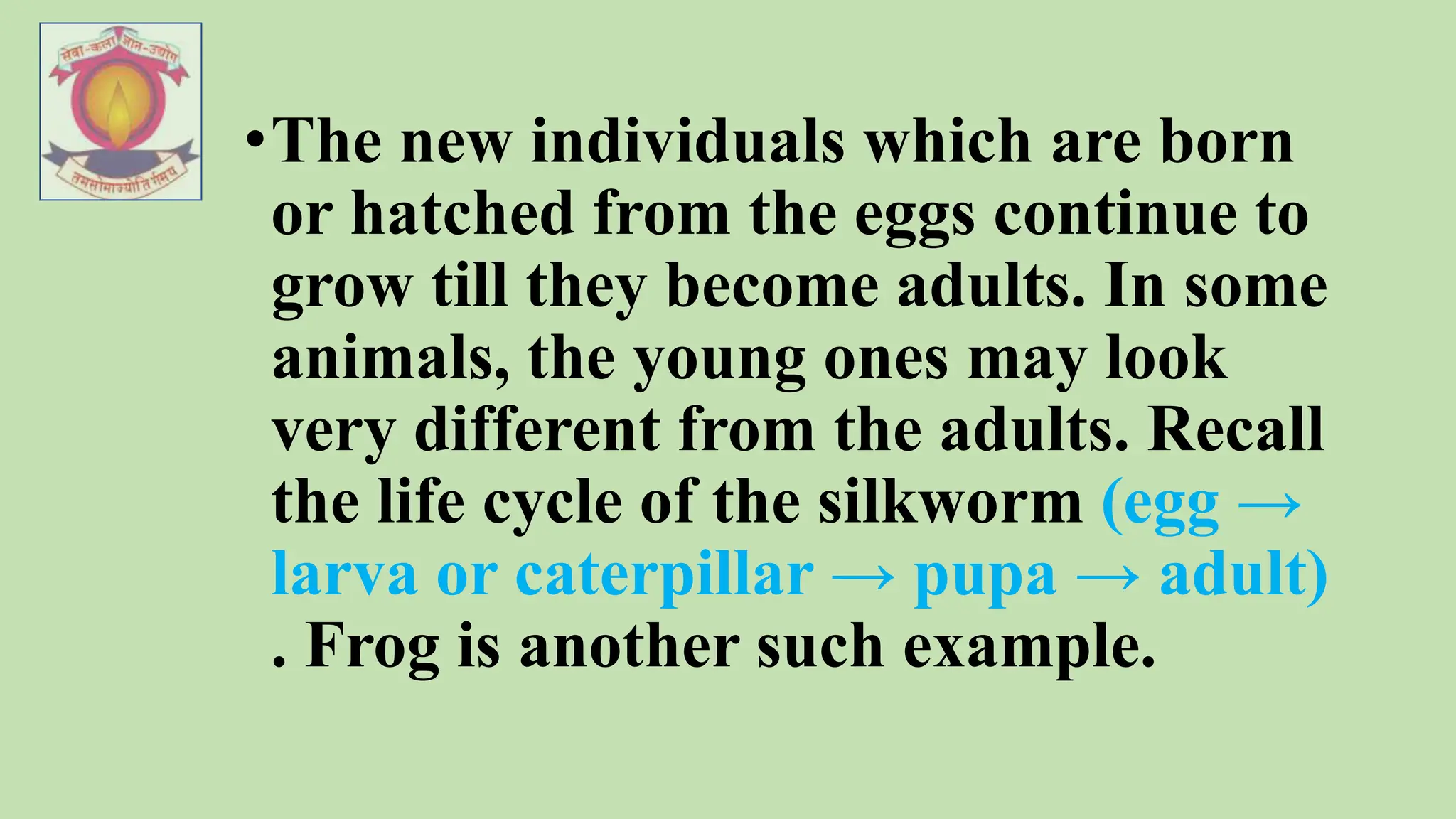 REPRODUCTION IN ANIMALS.pptx............. | PPTX