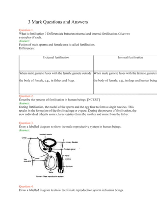 3 Mark Questions and Answers
Question 1.
What is fertilisation ? Differentiate between external and internal fertilisation. Give two
examples of each.
Answer:
Fusion of male sperms and female ova is called fertilisation.
Differences:
External fertilisation Internal fertilisation
When male gamete fuses with the female gamete outside
the body of female, e.g., in fishes and frogs.
When male gamete fuses with the female gamete i
the body of female, e.g., in dogs and human beings
Question 2.
Describe the process of fertilisation in human beings. [NCERT]
Answer:
During fertilisation, the nuclei of the sperm and the egg fuse to form a single nucleus. This
results in the formation of the fertilised egg or zygote. During the process of fertilisation, the
new individual inherits some characteristics from the mother and some from the father.
Question 3.
Draw a labelled diagram to show the male reproductive system in human beings.
Answer:
Question 4.
Draw a labelled diagram to show the female reproductive system in human beings.
 