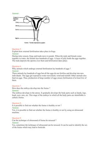 Answer:
Question 5.
Explain how external fertilisation takes place in frogs.
Answer:
During rainy season, frogs and toads move to ponds. When the male and female come
together in water, the female lays hundreds of eggs. A layer of jelly holds the eggs together.
The male deposits the sperms over them and fertilisation takes place.
Question 6.
Why animals which undergo external fertilisation lay hundreds of eggs ?
Answer:
These animals lay hundreds of eggs but all the eggs do not fertilise and develop into new
individuals. The eggs get exposed to water movement, wind and rainfall. Other animals also
feed on eggs. Thus, production of large number of eggs ensure fertilisation of at least few of
them.
Question 7.
How does the embryo develop into the foetus ?
Answer:
The embryo develops in the uterus. It gradually develops the body parts such as hands, legs,
head, eyes, ears, etc. This stage of the embryo in which all the body parts are identifiable is
called a foetus.
Question 8.
Is it possible to find out whether the foetus is healthy or not ?
Answer:
Yes, it is possible to find out whether the foetus is healthy or not by using an ultrasound
machine.
Question 9.
Can the technique of ultrasound of foetus be misused ?
Answer:
Yes, sometimes the technique of ultrasound can be misused. It can be used to identify the sex
of the foetus which may lead to foeticide.
 