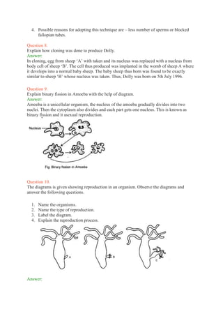4. Possible reasons for adopting this technique are – less number of sperms or blocked
fallopian tubes.
Question 8.
Explain how cloning was done to produce Dolly.
Answer:
In cloning, egg from sheep ‘A’ with taken and its nucleus was replaced with a nucleus from
body cell of sheep ‘B’. The cell thus produced was implanted in the womb of sheep A where
it develops into a normal baby sheep. The baby sheep thus born was found to be exactly
similar to-sheep ‘B’ whose nucleus was taken. Thus, Dolly was born on 5th July 1996.
Question 9.
Explain binary fission in Amoeba with the help of diagram.
Answer:
Amoeba is a unicellular organism, the nucleus of the amoeba gradually divides into two
nuclei. Then the cytoplasm also divides and each part gets one nucleus. This is known as
binary fission and it asexual reproduction.
Question 10.
The diagrams is given showing reproduction in an organism. Observe the diagrams and
answer the following questions.
1. Name the organisms.
2. Name the type of reproduction.
3. Label the diagram.
4. Explain the reproduction process.
Answer:
 
