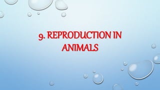 9. REPRODUCTION IN
ANIMALS
 