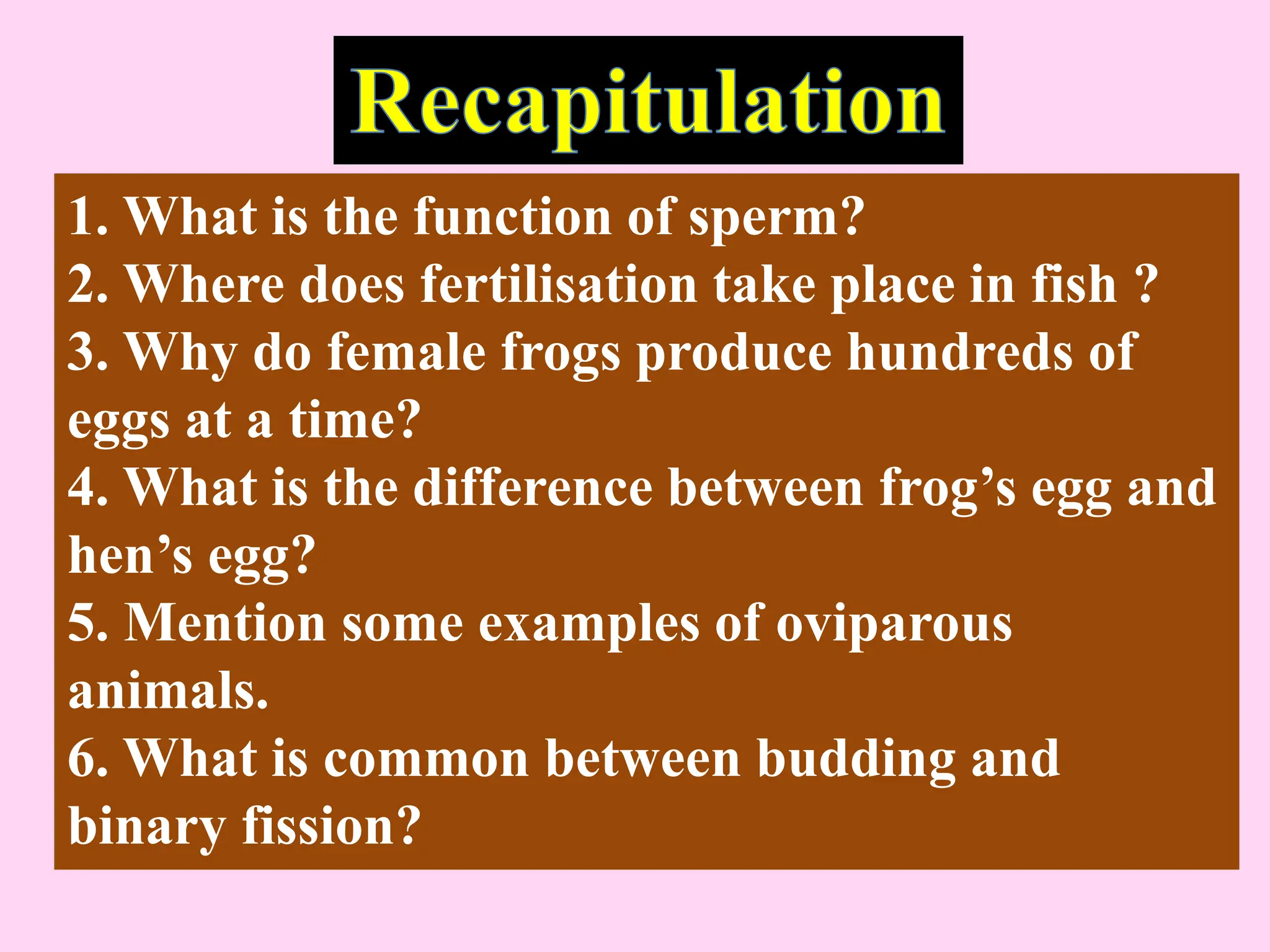 1. What is the function of sperm?
2. Where does fertilisation take place in fish ?
3. Why do female frogs produce hundreds of
eggs at a time?
4. What is the difference between frog’s egg and
hen’s egg?
5. Mention some examples of oviparous
animals.
6. What is common between budding and
binary fission?
 