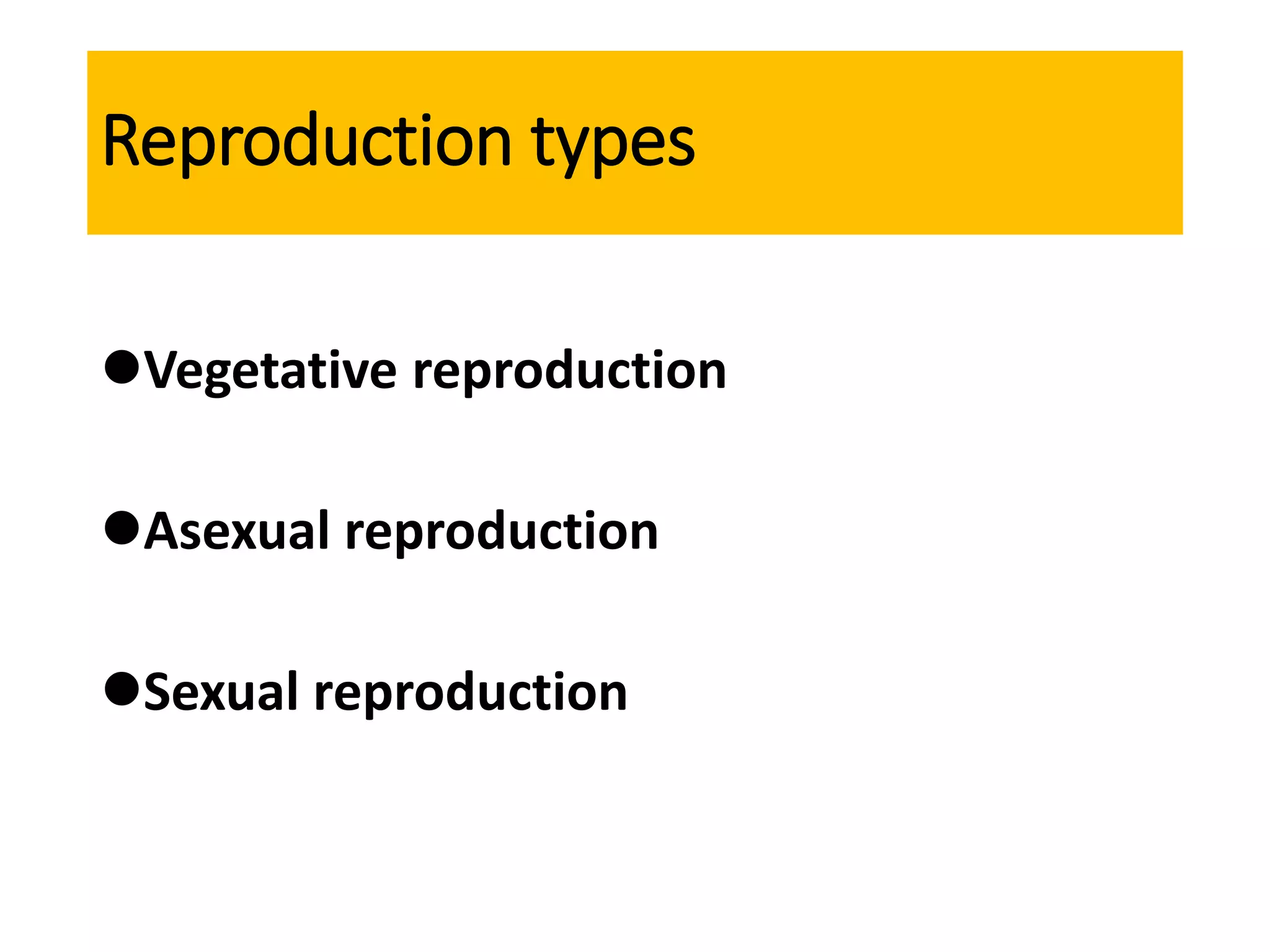 TYPES OF REPRODUCTION IN BACTERIA visual data 6