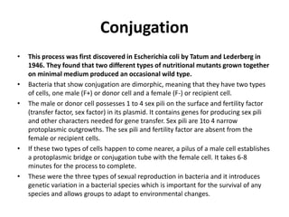 Reproduction in bacteria | PPTX