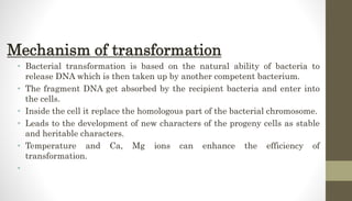 Reproduction in bacteria (class seminar) | PPTX