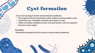 Sexual and asexual Reproduction in bacteria | PDF