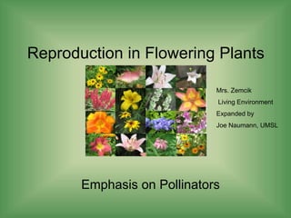 Reproduction in Flowering Plants
Emphasis on Pollinators
Mrs. Zemcik
Living Environment
Expanded by
Joe Naumann, UMSL
 
