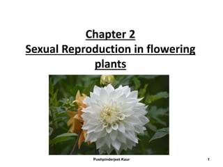 Chapter 2
Sexual Reproduction in flowering
plants
Pushpinderjeet Kaur 1
 