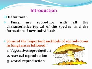 Fungi are reproduced by