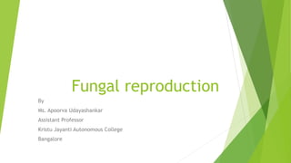 Fungal reproduction
By
Ms. Apoorva Udayashankar
Assistant Professor
Kristu Jayanti Autonomous College
Bangalore
 