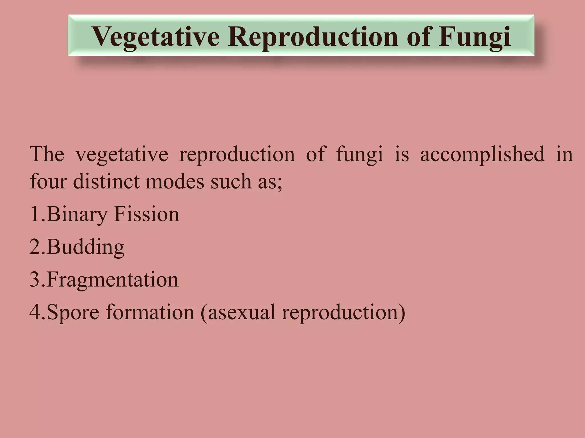 The vegetative reproduction of fungi is accomplished in
four distinct modes such as;
1.Binary Fission
2.Budding
3.Fragmentation
4.Spore formation (asexual reproduction)
Vegetative Reproduction of Fungi
 