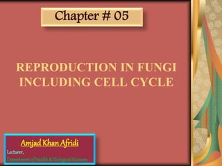 REPRODUCTION IN FUNGI
INCLUDING CELL CYCLE
Chapter # 05
AmjadKhan Afridi
Lecturer,
Departmentof Health& BiologicalSciences
 