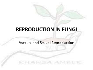 REPRODUCTION IN FUNGI
Asexual and Sexual Reproduction
 