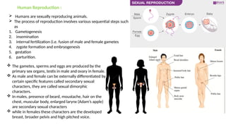 Reproduction in low & higher animal.pptx