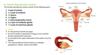 Reproduction in low & higher animal.pptx