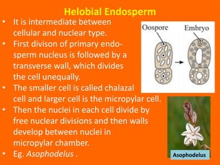 Reproduction in Lower and Higher plants | PDF