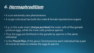 Reproduction in insects