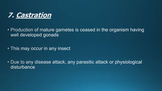 Reproduction in insects