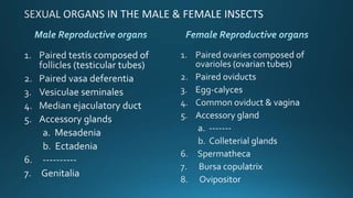 Reproduction in insects