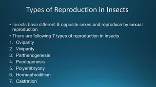 Reproduction in insects