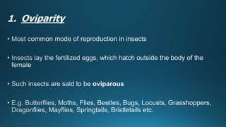 Reproduction in insects