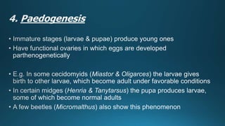 Reproduction in insects