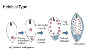 Reproduction in lower and higher plants | PPTX