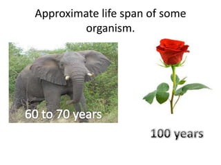 Reproduction in organism 2014 mohanbio Slide 3