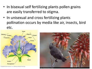 Reproduction in organism 2014 mohanbio Slide 43