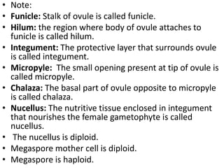 Reproduction in organism 2014 mohanbio Slide 83