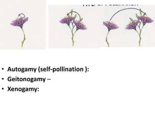 Reproduction in organism 2014 mohanbio Slide 91