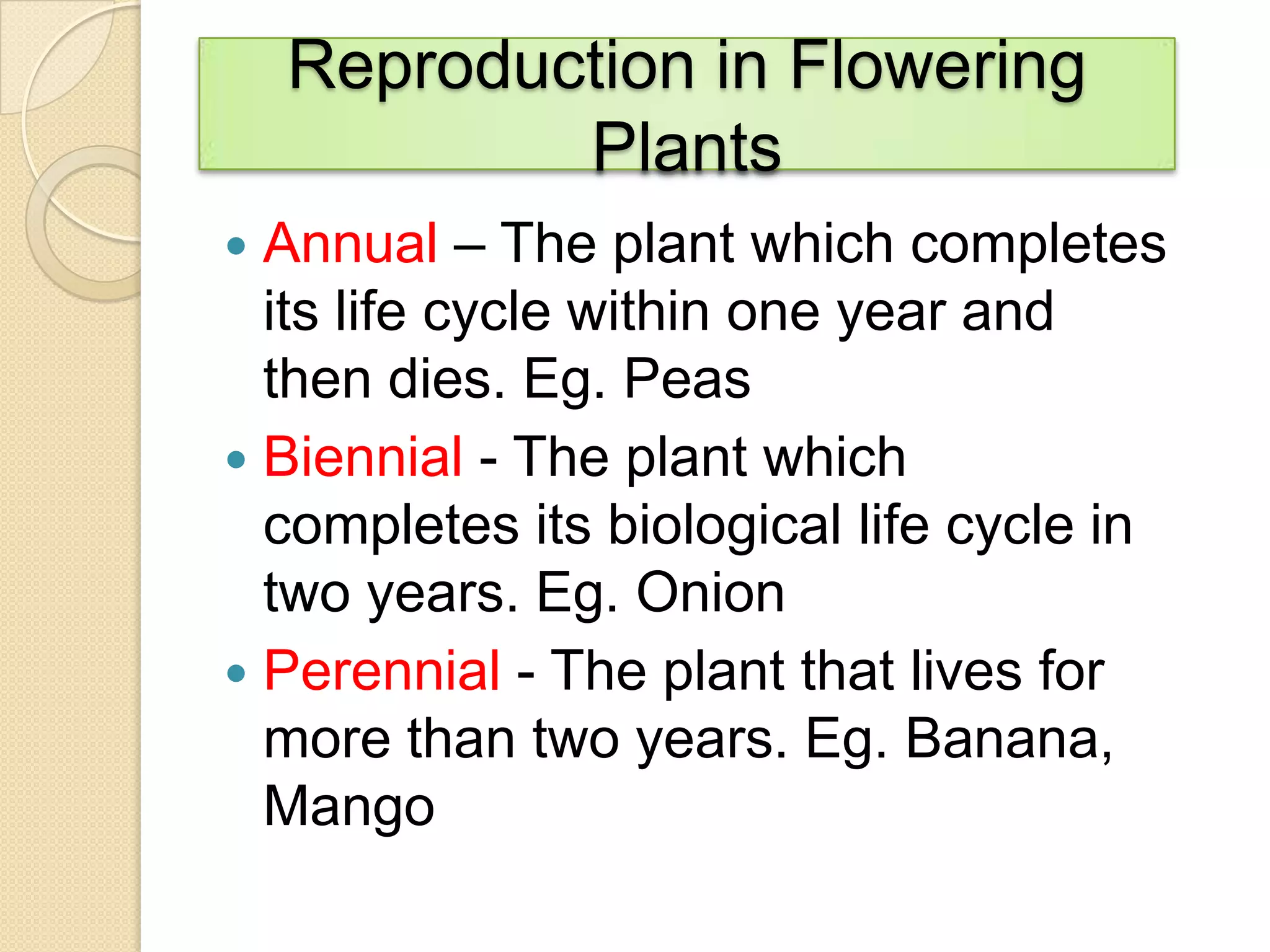 Reproduction in Flowering
Plants
Annual – The plant which completes
its life cycle within one year and
then dies. Eg. Peas
 Biennial - The plant which
completes its biological life cycle in
two years. Eg. Onion
 Perennial - The plant that lives for
more than two years. Eg. Banana,
Mango


 