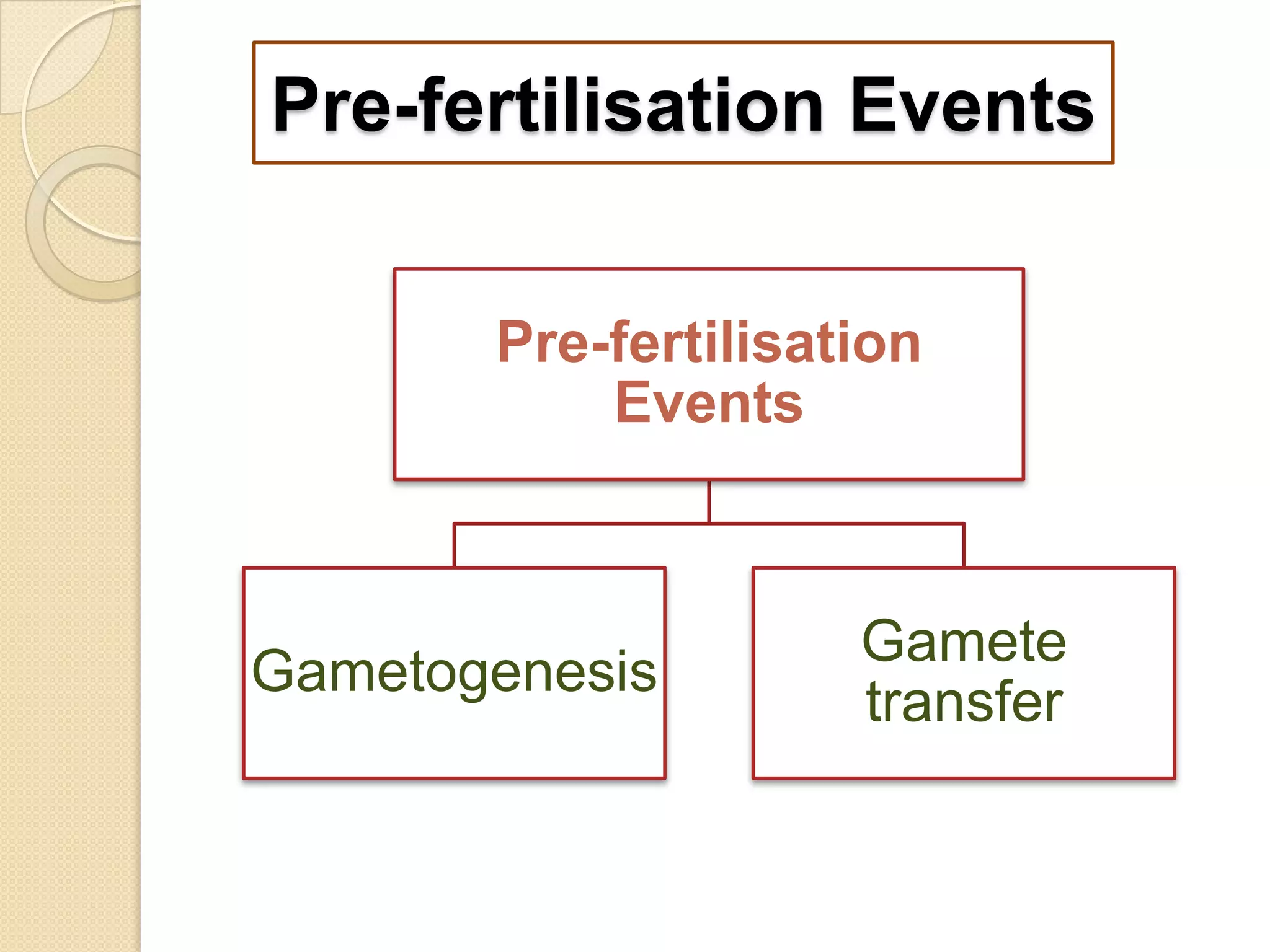 Pre-fertilisation Events
Pre-fertilisation
Events

Gametogenesis

Gamete
transfer

 