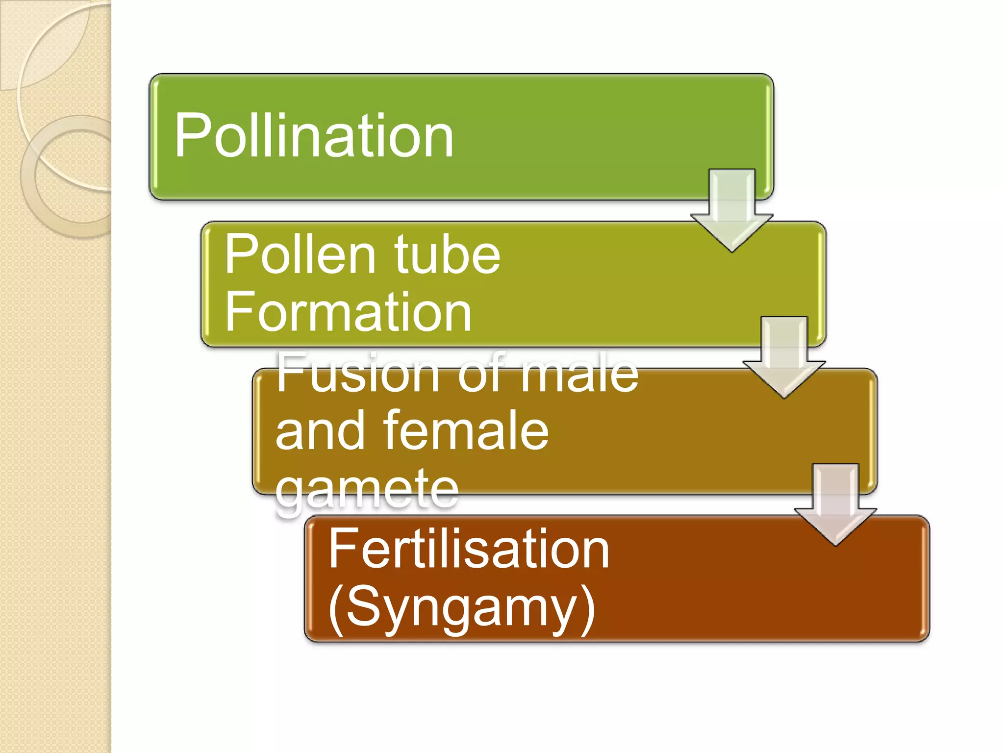 Pollination
Pollen tube
Formation
Fusion of male
and female
gamete
Fertilisation
(Syngamy)

 
