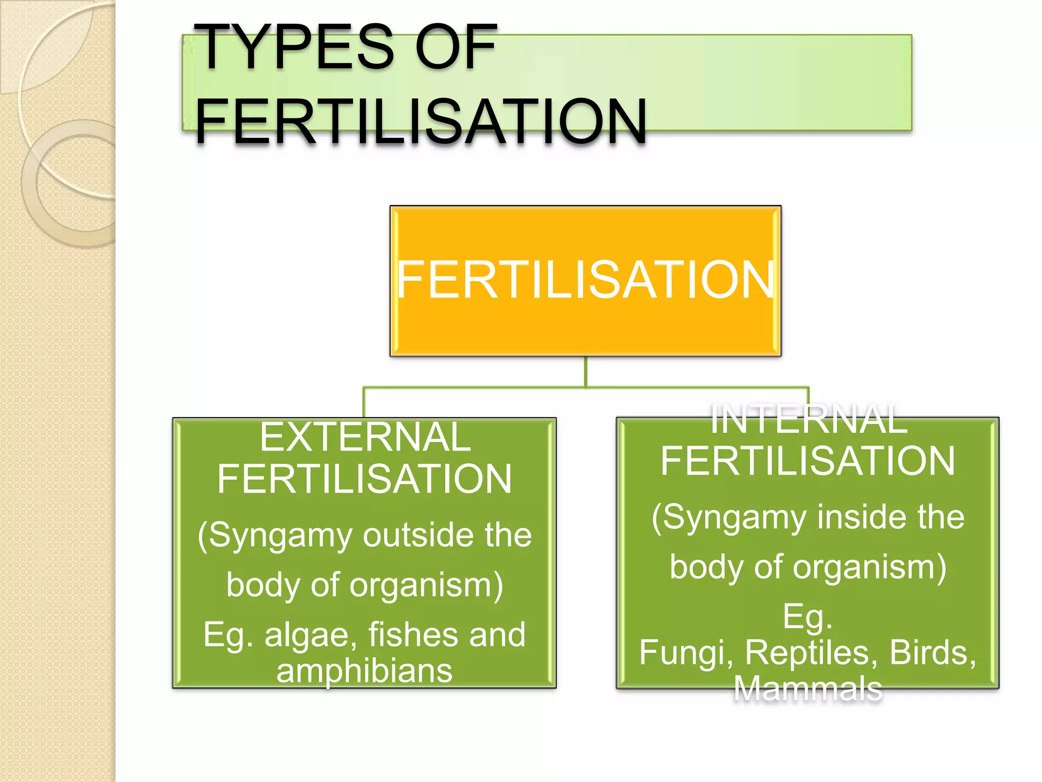 TYPES OF
FERTILISATION
FERTILISATION
EXTERNAL
FERTILISATION

INTERNAL
FERTILISATION

(Syngamy outside the
body of organism)
Eg. algae, fishes and
amphibians

(Syngamy inside the
body of organism)
Eg. Fungi, Reptiles,
Birds, Mammals

 