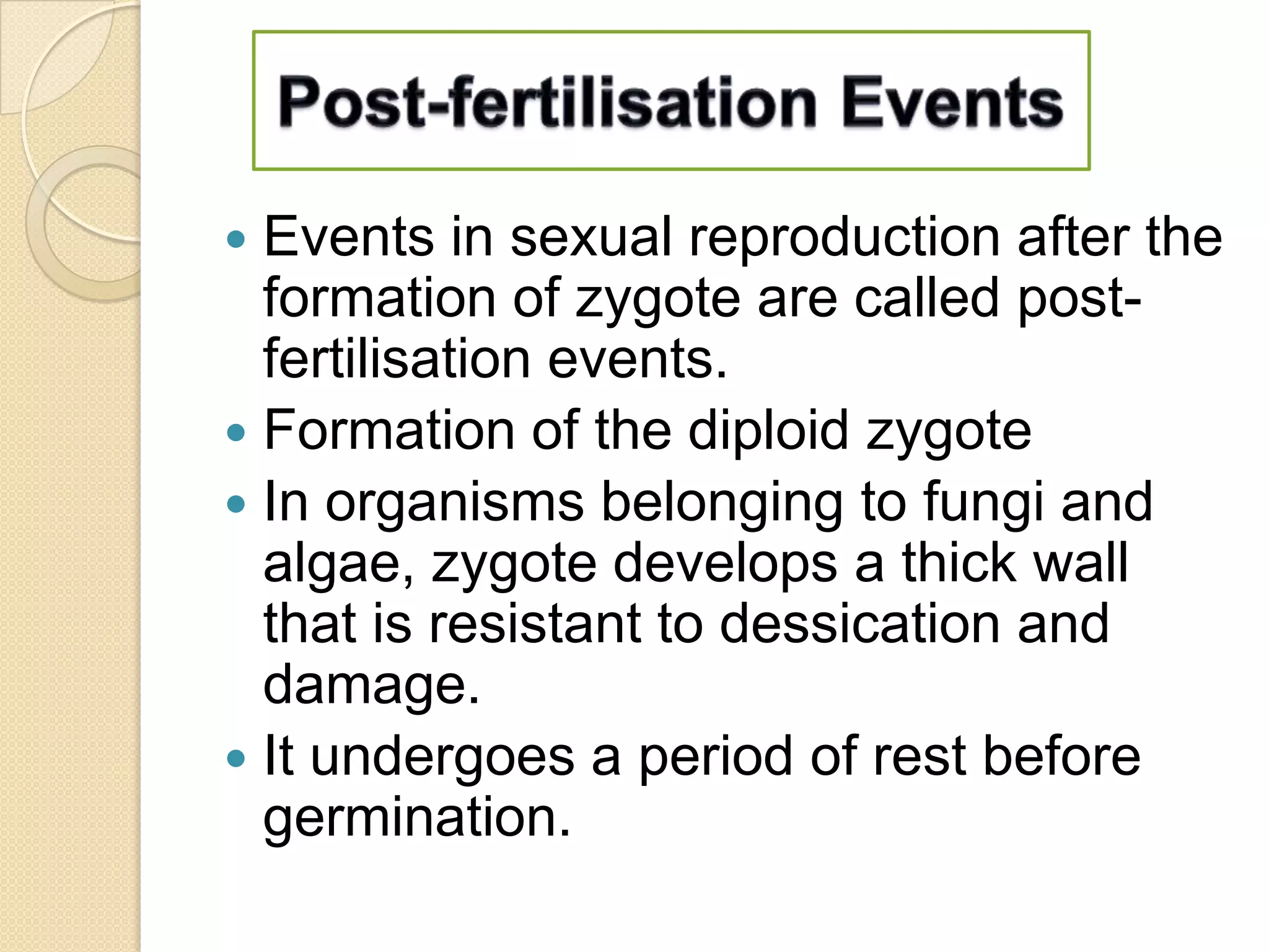 Events in sexual reproduction after the
formation of zygote are called postfertilisation events.
 Formation of the diploid zygote
 In organisms belonging to fungi and
algae, zygote develops a thick wall
that is resistant to dessication and
damage.
 It undergoes a period of rest before
germination.


 