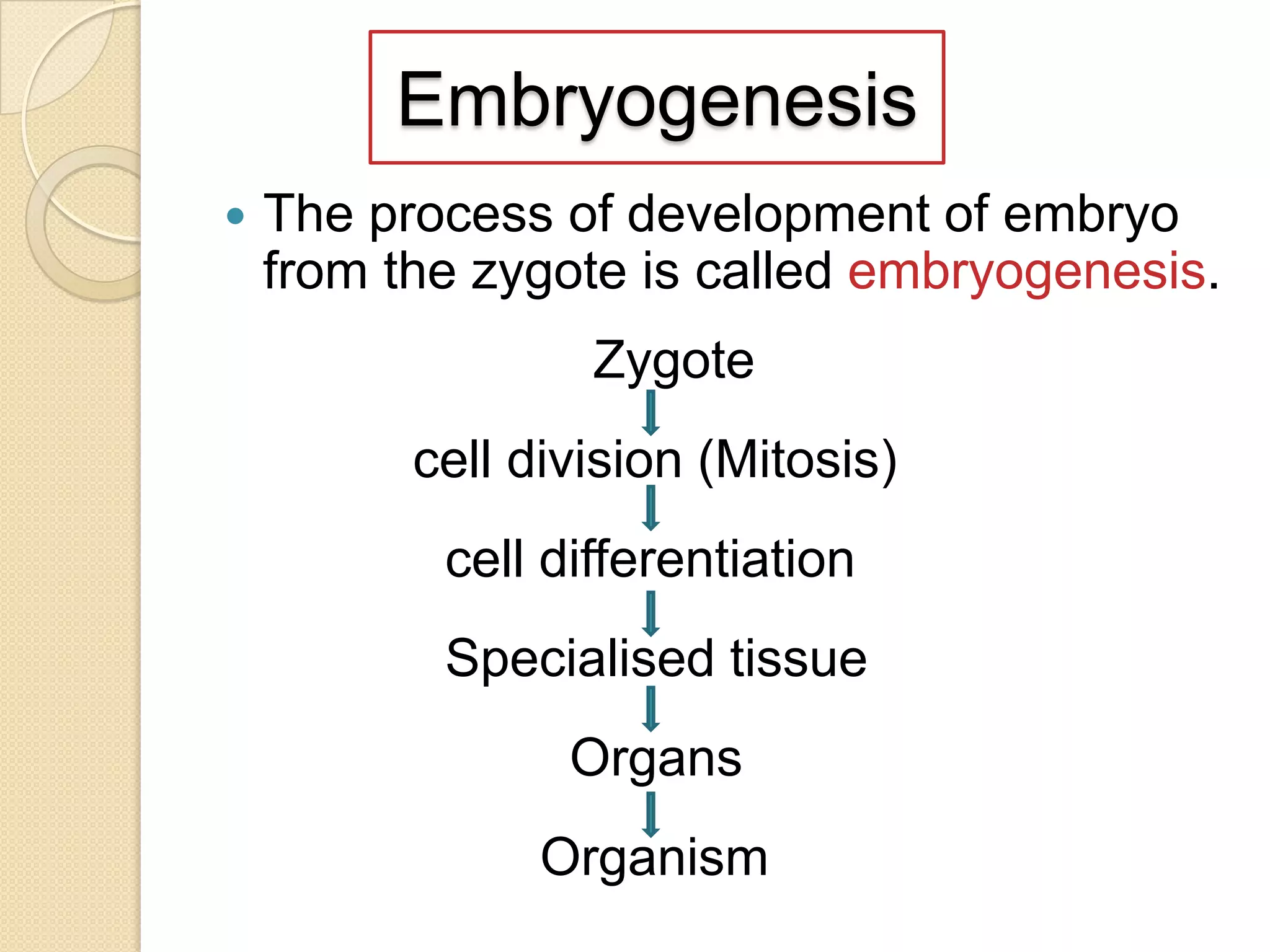Embryogenesis


The process of development of embryo
from the zygote is called embryogenesis.

Zygote
cell division (Mitosis)

cell differentiation
Specialised tissue
Organs
Organism

 