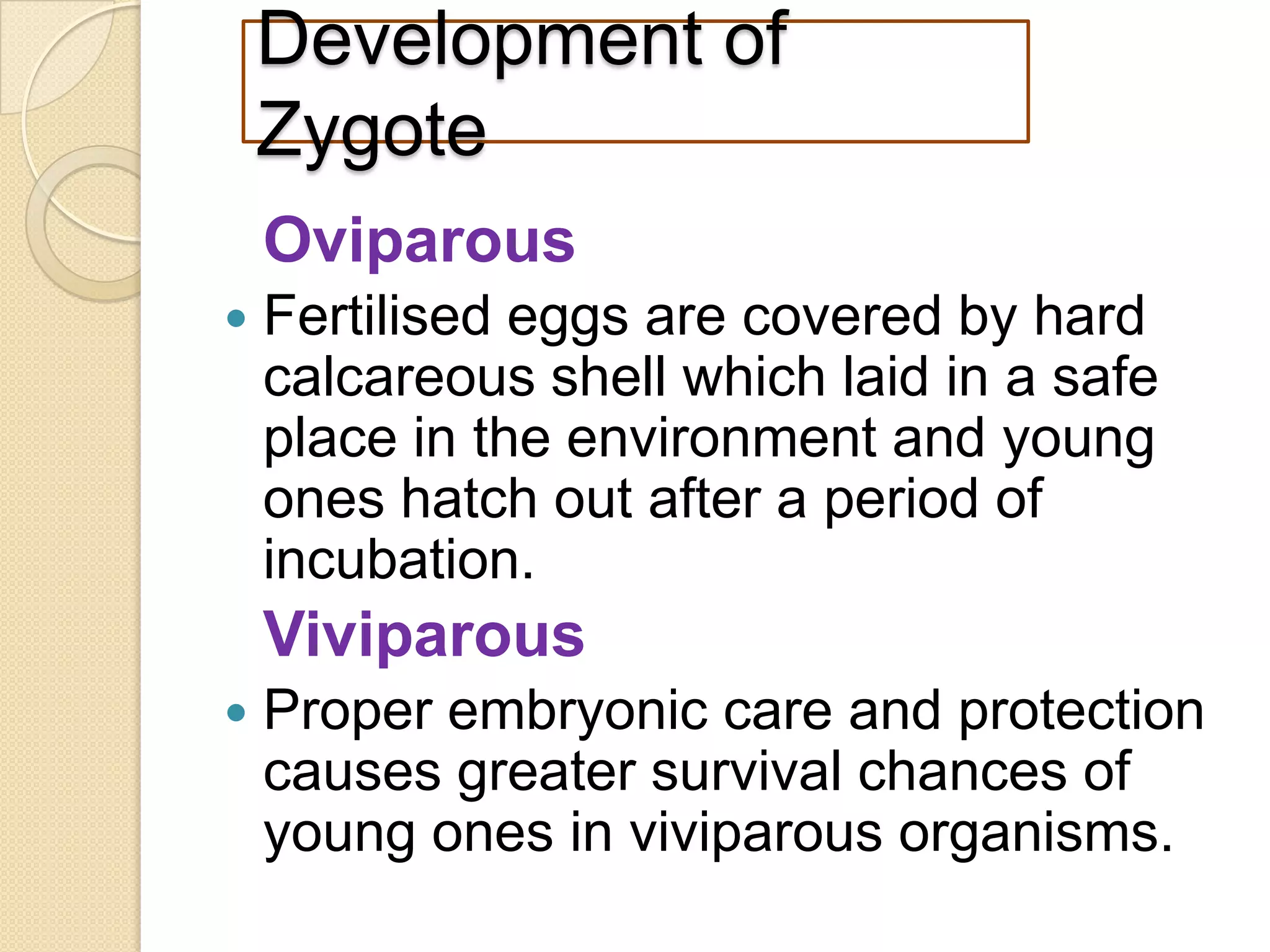 Development of
Zygote
Oviparous


Fertilised eggs are covered by hard
calcareous shell which laid in a safe
place in the environment and young
ones hatch out after a period of
incubation.

Viviparous


Proper embryonic care and protection
causes greater survival chances of
young ones in viviparous organisms.

 
