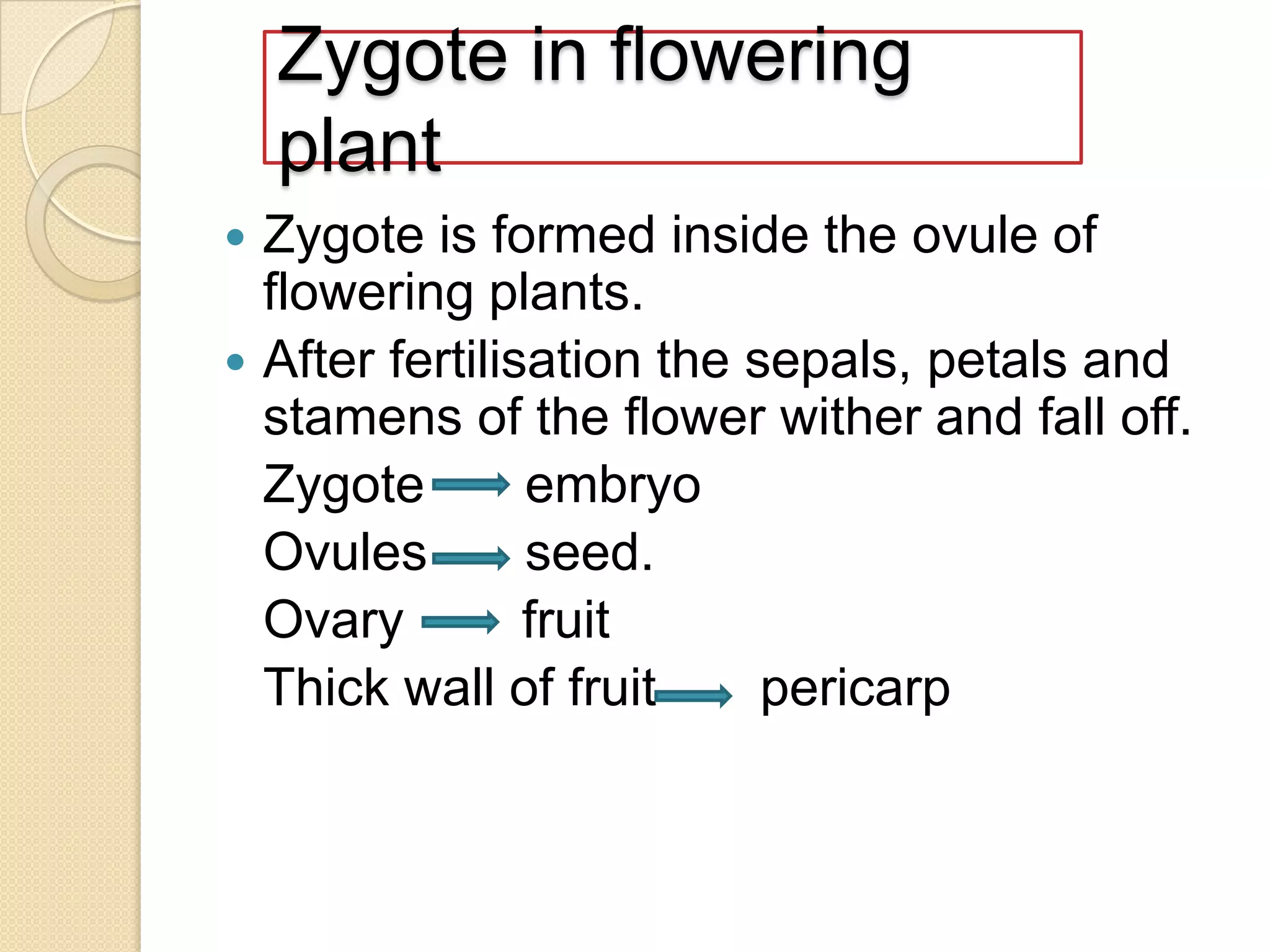Zygote in flowering
plant



Zygote is formed inside the ovule of
flowering plants.
After fertilisation the sepals, petals and
stamens of the flower wither and fall off.
Zygote
embryo
Ovules
seed.
Ovary
fruit
Thick wall of fruit
pericarp

 