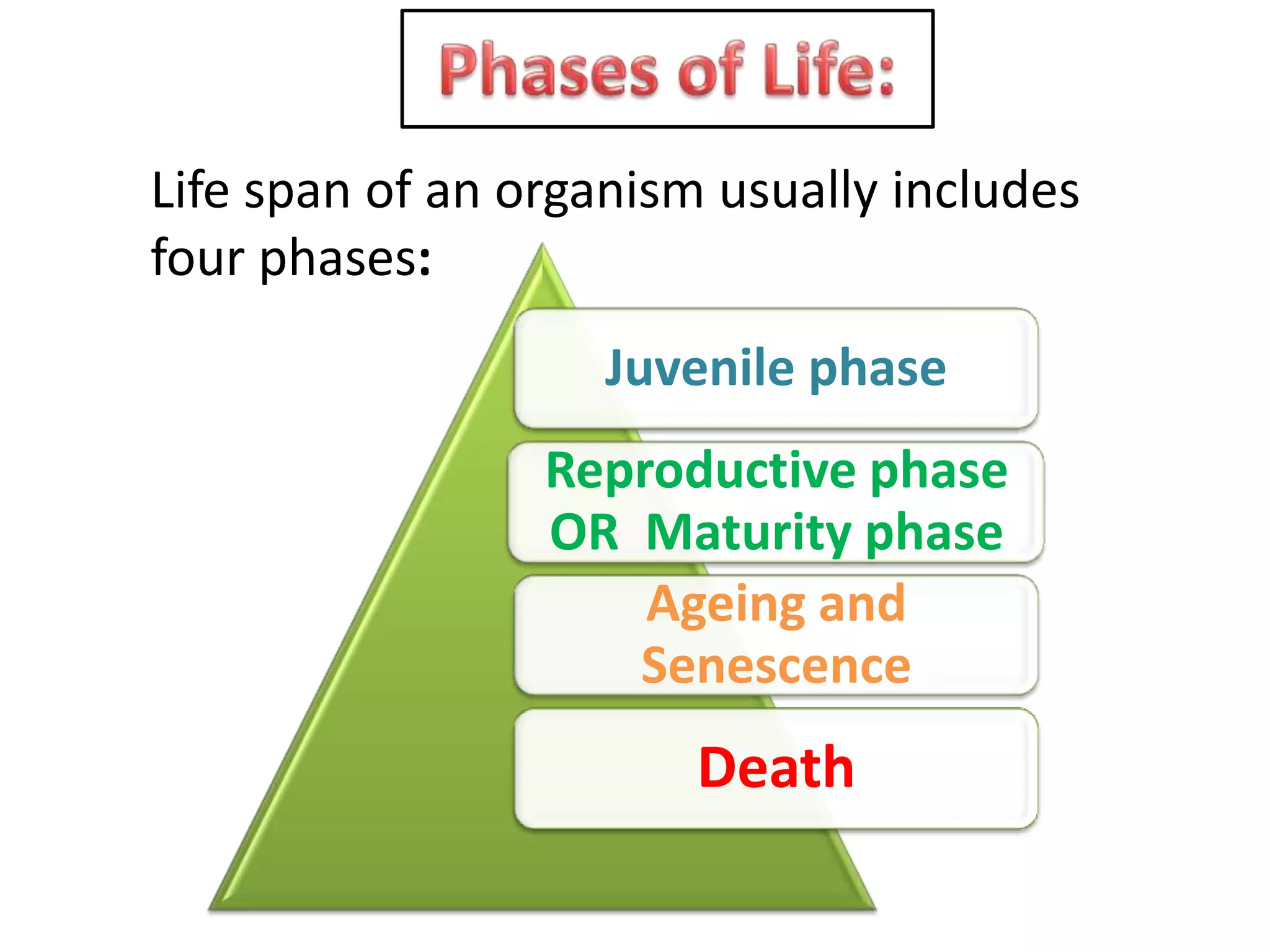 Life span of an organism usually includes
four phases:

Juvenile phase
Reproductive phase
OR Maturity phase
Ageing and
Senescence

Death

 