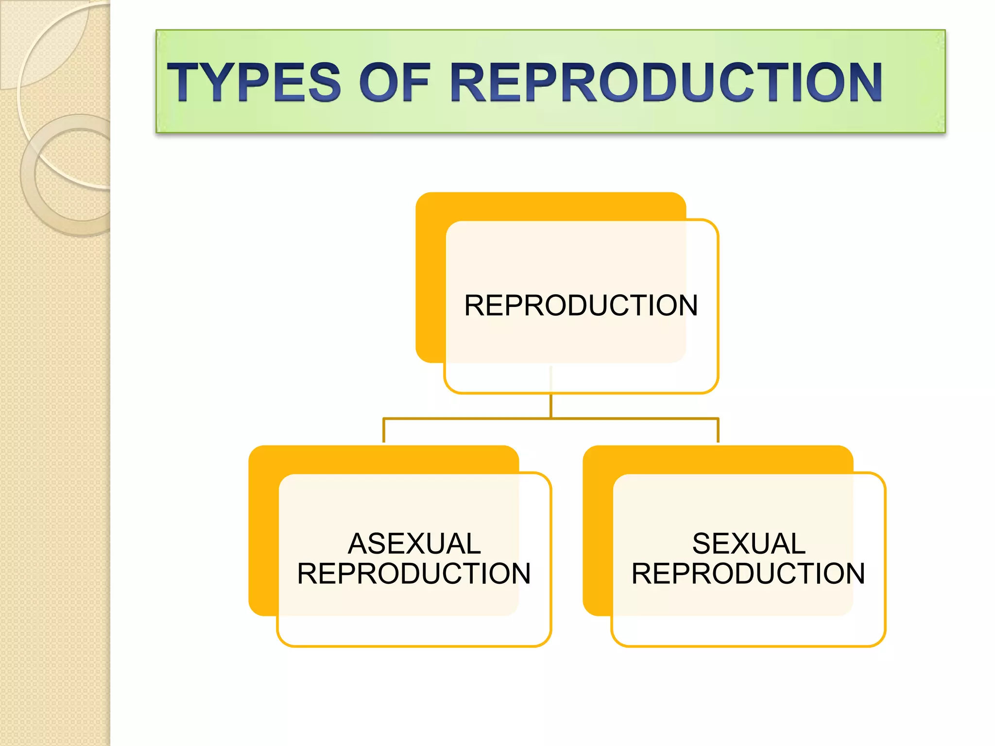 REPRODUCTION

ASEXUAL
REPRODUCTION

SEXUAL
REPRODUCTION

 