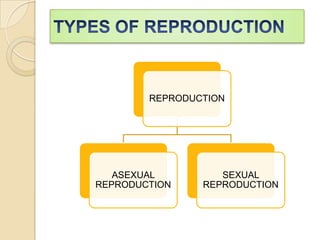 Reproduct Reproduction in organisms | PPTX