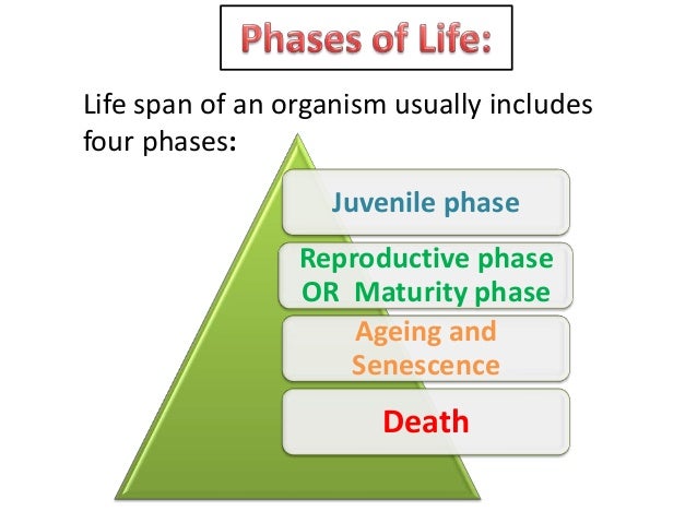 Reproduction in organisms