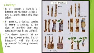Engrafted Definition Reproduction in organisms, Class XII | PPTX