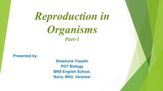 Reproduction in
Organisms
Part-1
Presented by:
Shashank Tripathi
PGT Biology
BNS English School,
Naria, BHU, Varanasi
 