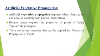 Reproduction in organisms, Class XII