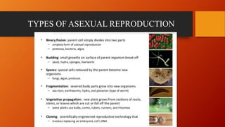 Reproduction in organisms | PPTX